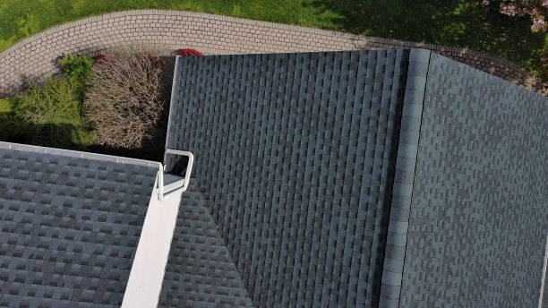 Best Solar Panel Roofing Installation  in Madisonville, TX